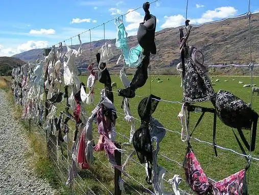 女子晒胸罩引来万千人效仿,现已成为景点,还打破了世界纪录!