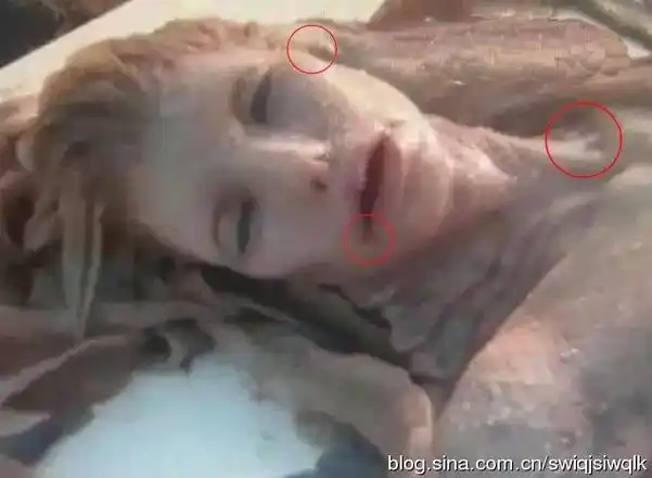 澳大利亚发现美人鱼尸体真假澳洲海滩美人鱼是真的吗图片