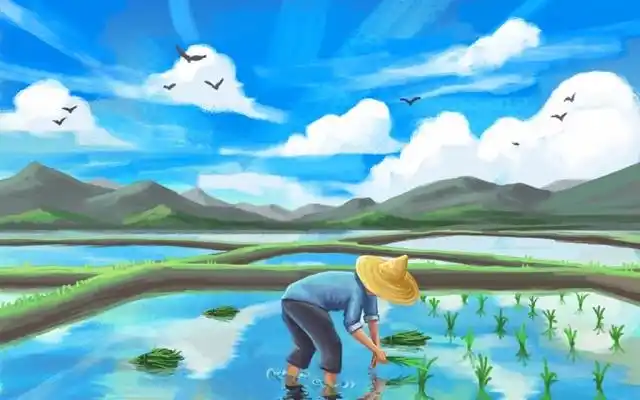 卡通农民插秧劳动节元素png素材农民种植水稻种田插秧插苗辛苦工作