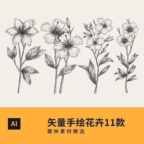 矢量图手绘花卉黑白线稿玫瑰花朵植物素描图案插画ai平面设计素材
