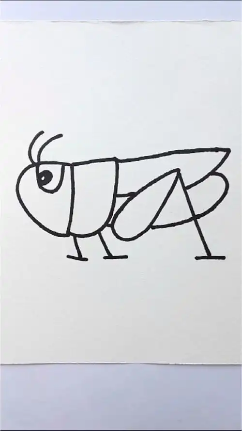 教宝贝们画蚂蚱简笔画教程,喜欢的画一画哦