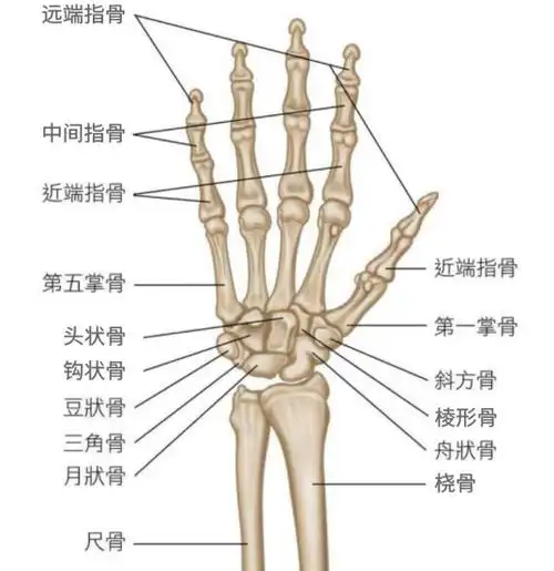 小手腕大疼痛不懂保养很难受
