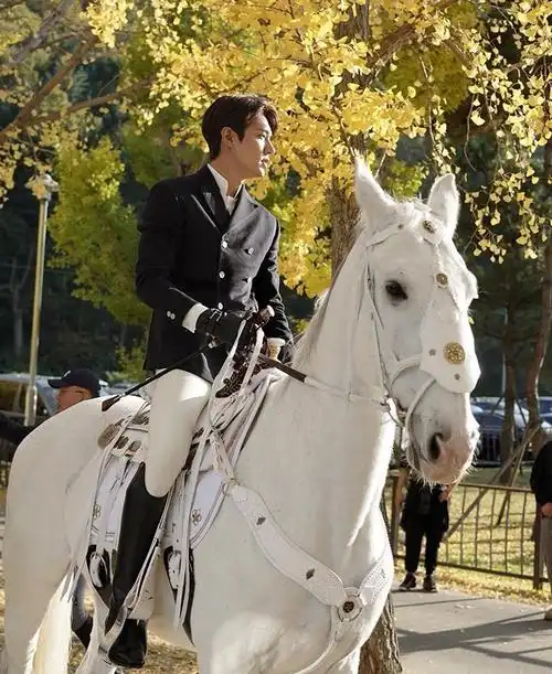 "南韩颜霸"李敏镐,一身宫廷服骑白马,感觉自己走了进少女漫!