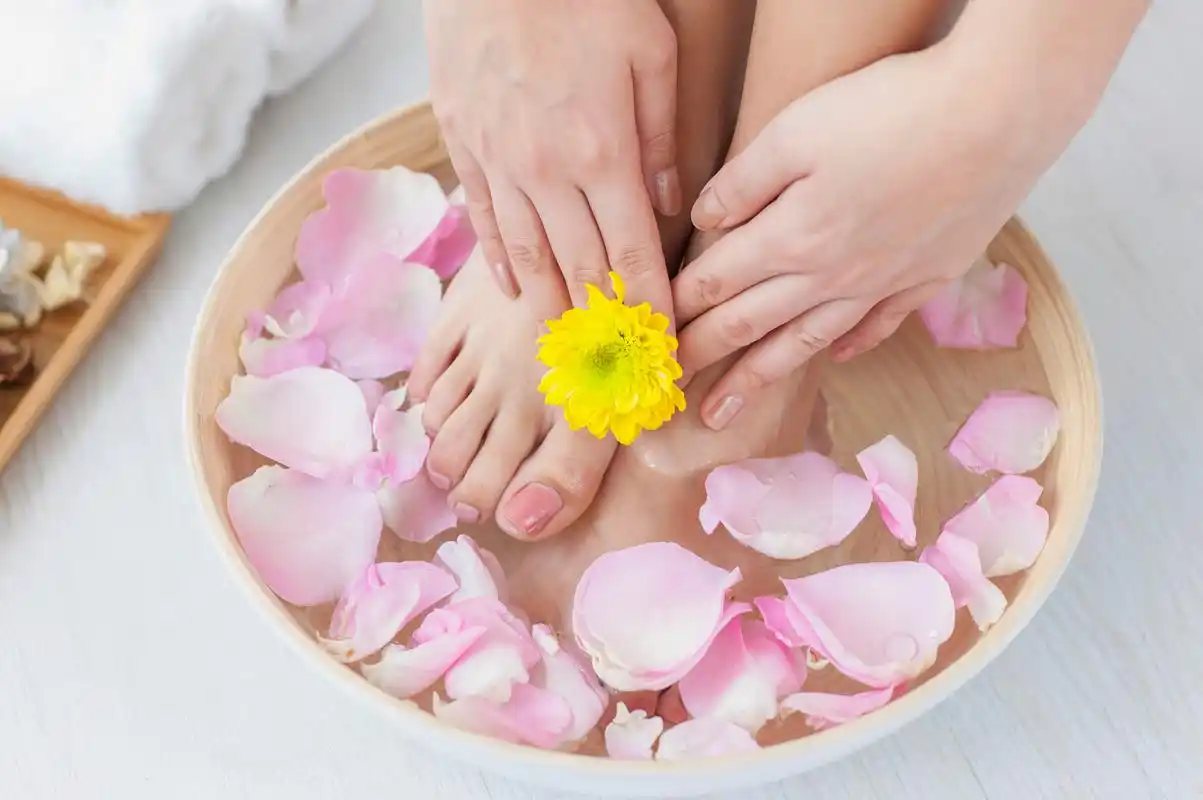 健康养生每日养经络 老中医教你经络养生要点,背熟受