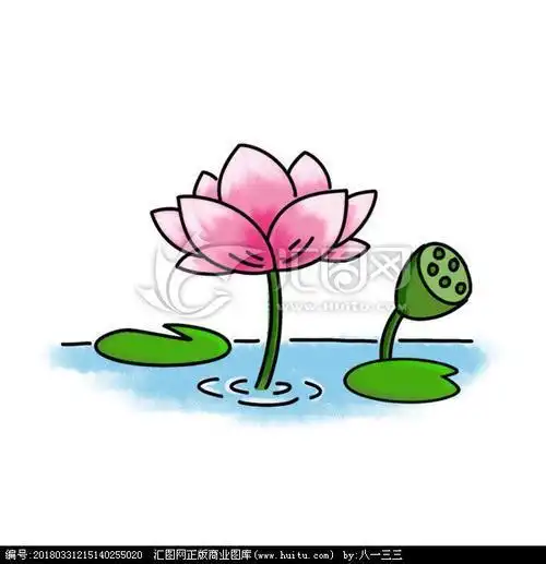 睡莲简笔画幼儿园彩色