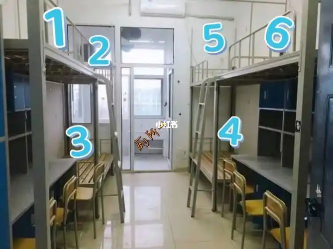 求助这种宿舍如何选床位呀