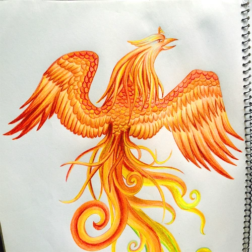 彩铅,凤凰