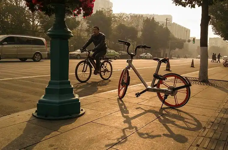 低碳行手机摄影片子