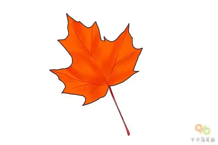 简笔画枫叶带颜色