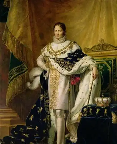 法国皇帝拿破仑是左撇子吗 / 比乐族