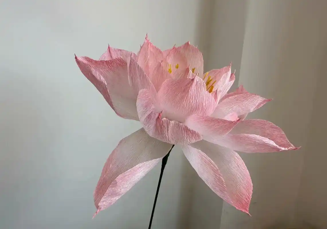 皱纹纸手工花 #荷花 - 抖音