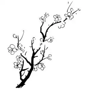 梅花简笔画图片 梅花简笔画图片大全