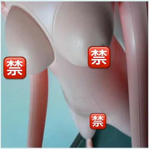 充气娃娃口交坐姿一体注水免安装仿真手脚娃娃半实体全套配件