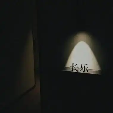 黑色系伤感头像人生来孤独可爱点