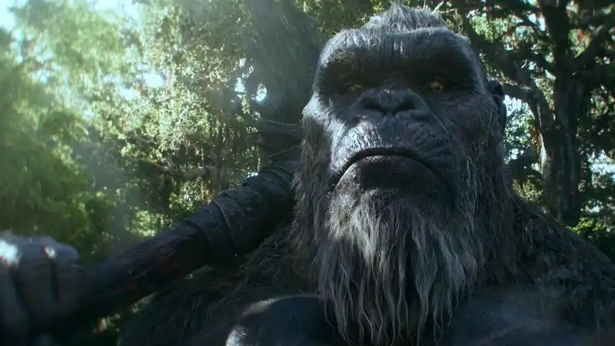 探索巨兽们的起源以及骷髅岛的奥秘 哥斯拉大战金刚2:帝国崛起