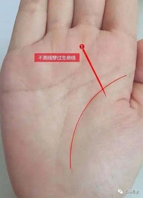 如果你手相有这条线无灾就有祸