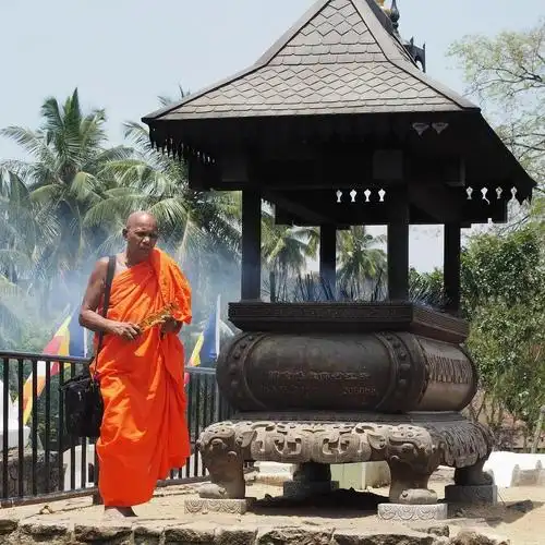 斯里兰卡涨知识:咦?僧人穿着不同颜色的僧袍,原来有这些区别!