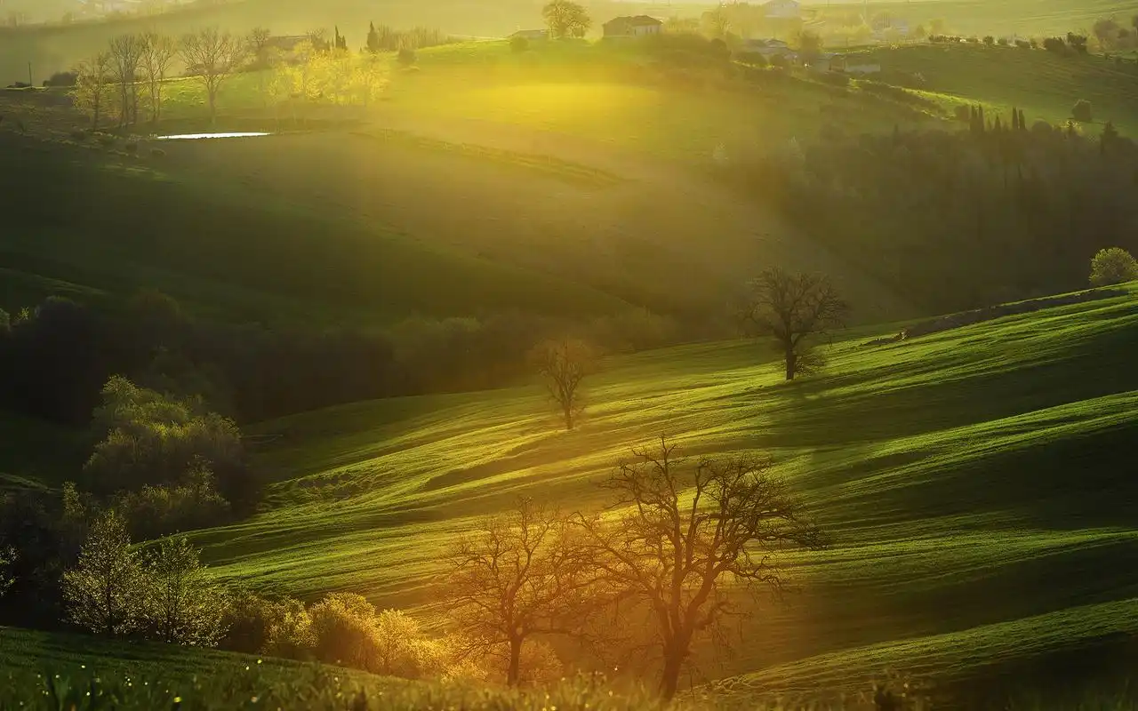 绿色护眼小清新唯美图片电脑桌面壁纸下载第一辑