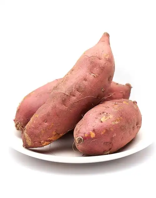 地瓜的丰富营养和健康功效(地瓜的营养价值和健康益处)