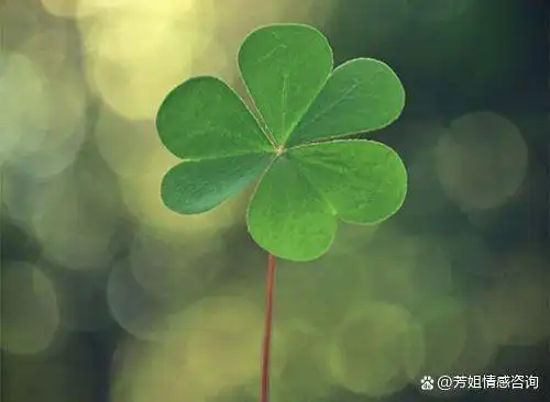 心态好的人,一般是对生活充满积极和热情的,他们心胸豁达