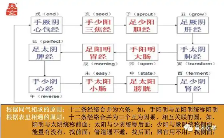 草木医学之人在气中气在人中三圆催化一气周流