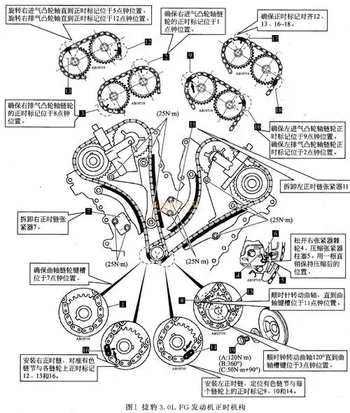 捷豹3.0l fg发动机正时机构