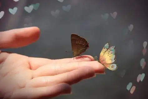指尖的蝴蝶意境图片_蝴蝶在手上的美_唯美图片_精品库