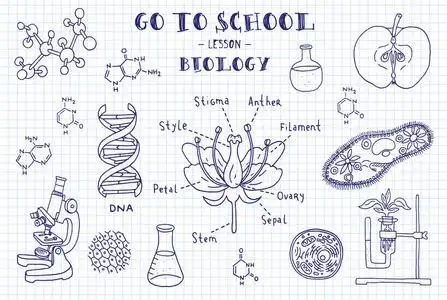 染色体生物学图片-染色体生物学素材-染色体生物学插画-摄图新视界