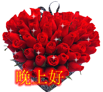 大家晚上好【相关词_晚上好表情包】