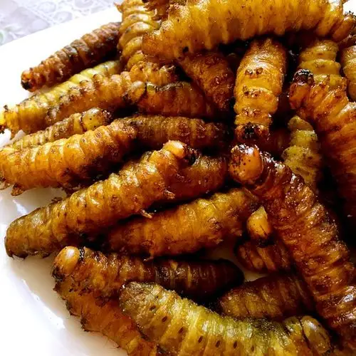 小美穆做的炸青蚕