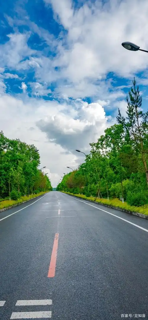 高清手机壁纸‖路-路在何方?心宽处皆是路