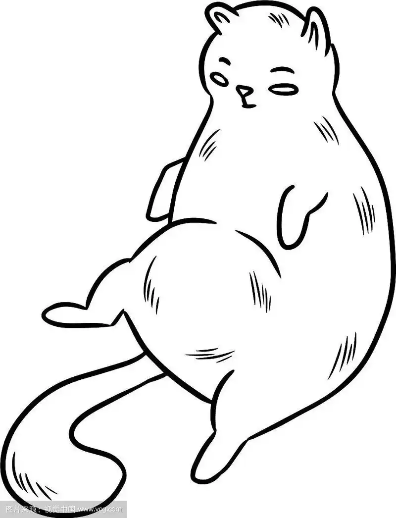 可爱的胖猫贺卡