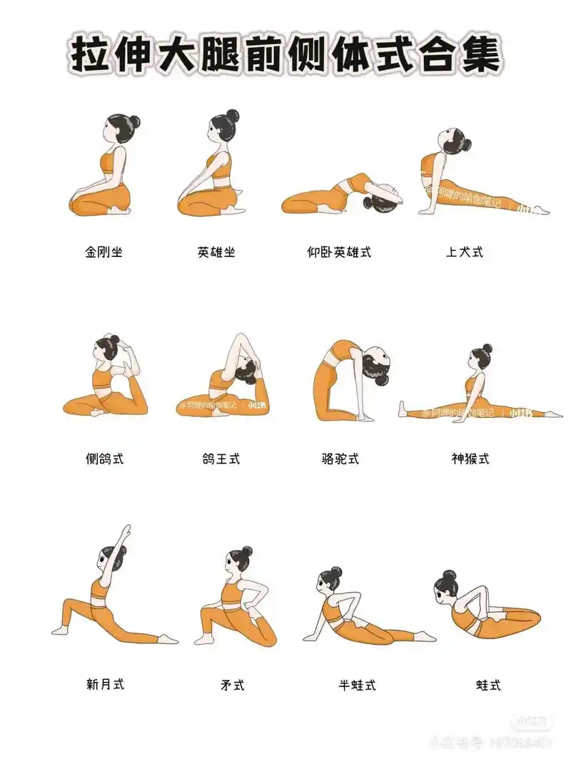 腿部拉伸体式合集/直腿,漫画腿练成记