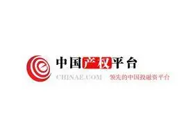 中国产权平台(chinae)logo