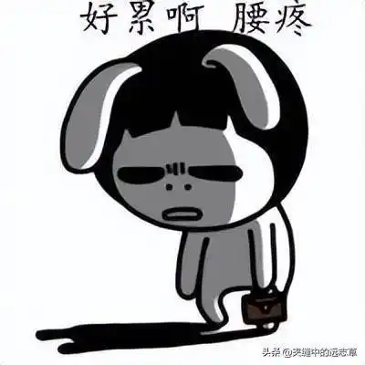 家是整理干净了,可腰也痛得直不起来了,只能感叹"岁月不饶人呐!