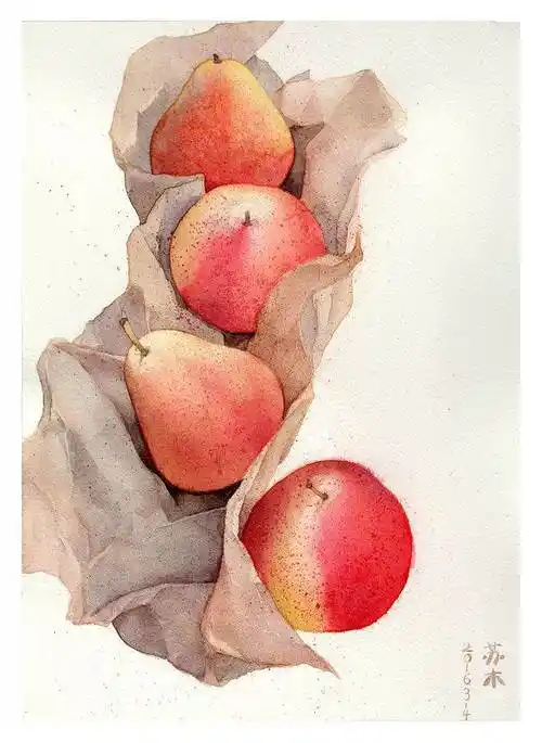 静物组合水彩画静物组合水粉画