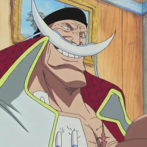 海贼王头像 |你最喜欢海贼王中哪场战斗!