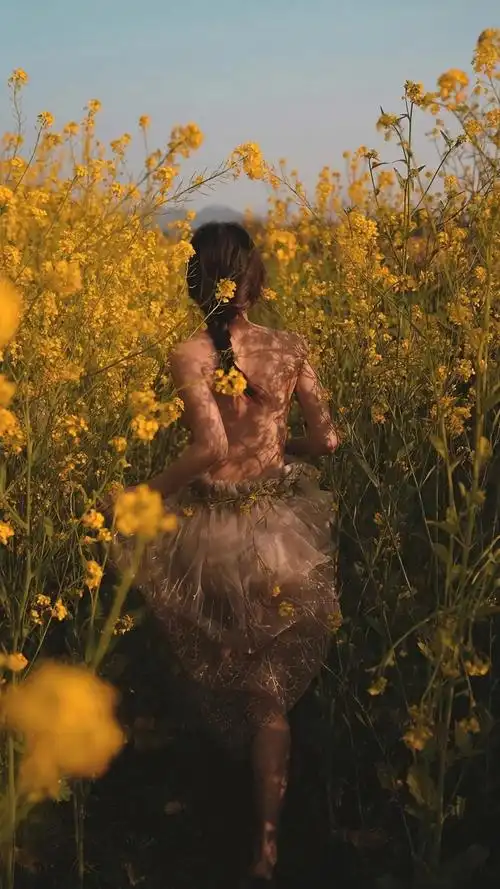 有哪些好看的全面屏手机壁纸或微信聊天背景图片