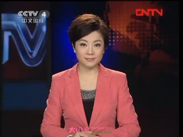 《新闻60分》主持人宋一平个人资料和图片 宋一平主持过的节目