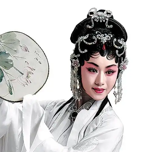 人大代表曾小敏:建议成立大湾区粤语保护传承中心