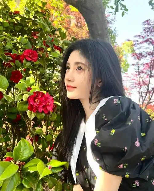 鞠婧祎晒出个人动态,美感十足,网友:又瘦了不少_照片_合作_时候