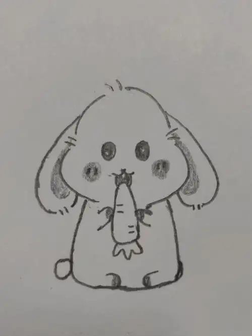 小兔子简笔画