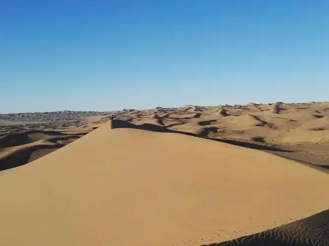 其它 西北之旅~金秋的约定   看过了胡杨林,越过戈壁滩后来到腾格里