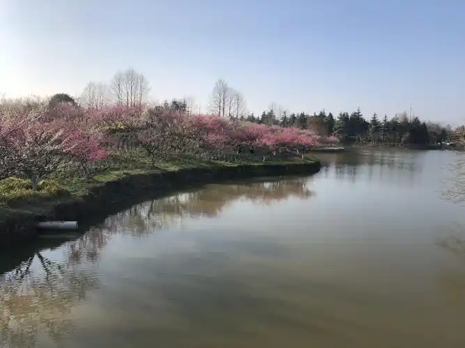 上海海湾国家森林公园