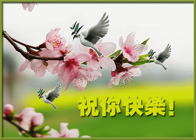 风景动态图_阳光沙滩2008_新浪博客