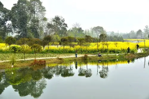 探访中国十大最美乡村青杠树村
