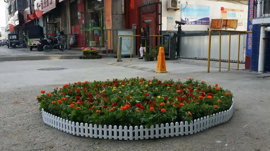 化林街道办事处岭南二社区迎双节,花卉摆放,营造节日氛围!