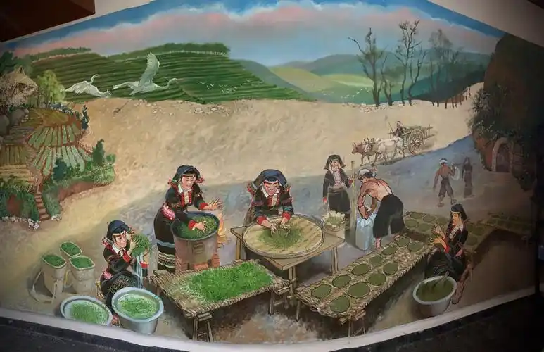 德凤酸茶(德昂族酸茶)