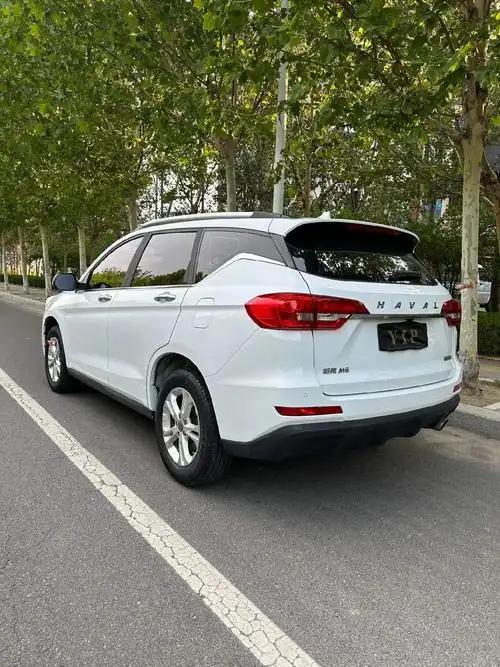 当地一手! 新到:19年哈弗m6,1.5t手动 - 抖音