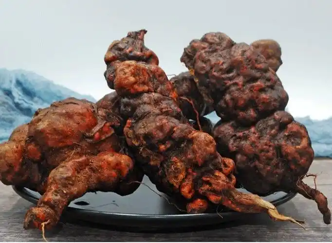 新鲜何首乌食用方法